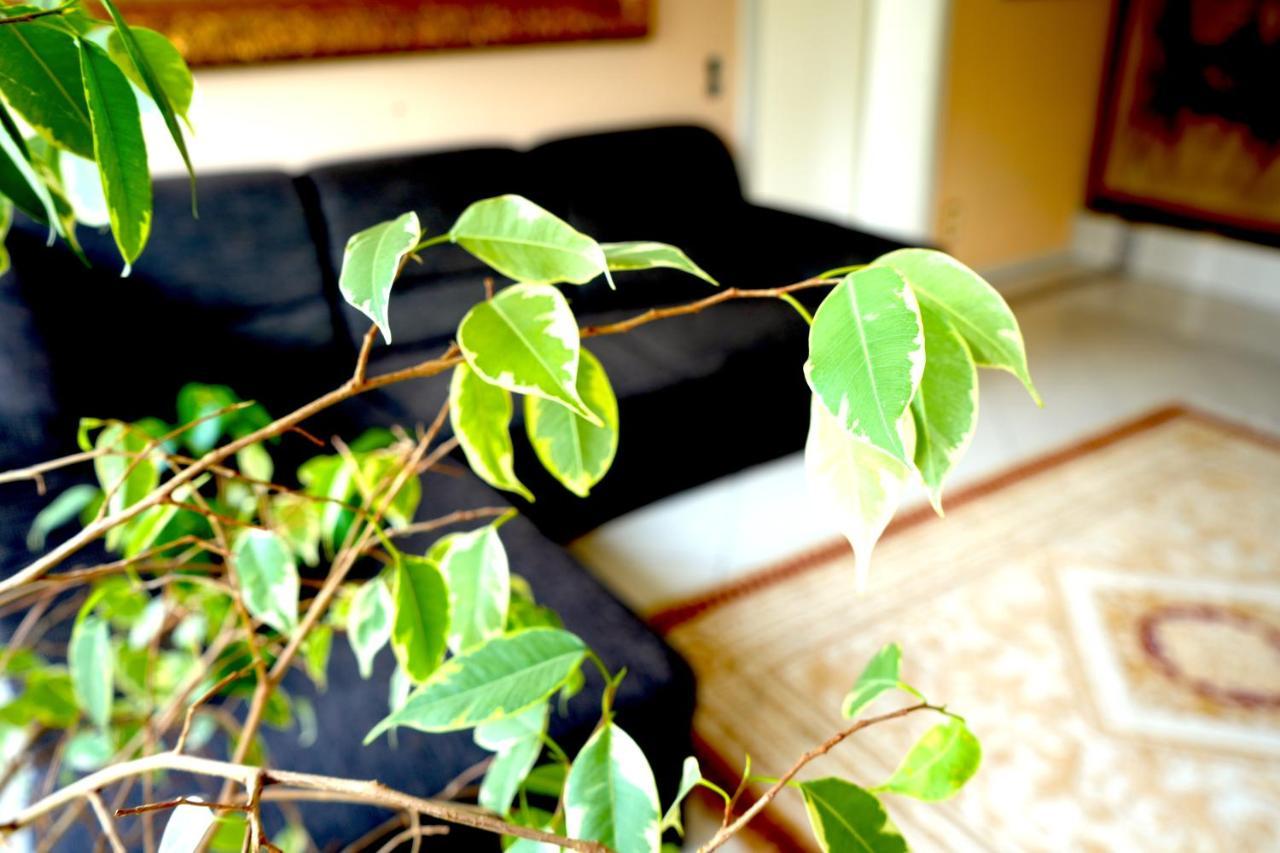 Dreamly Suites Oslip Bagian luar foto